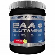 Заказать Scitec Nutrition EAA+Glutamine 300 гр