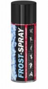 Заказать Kindmax Спрей охлаждающий Frost Spray 400 мл